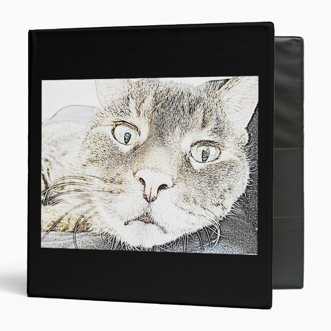 Lita Cat Sketch Binder (Front/Inside)