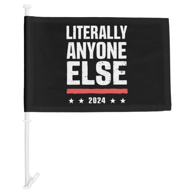 Literally Anyone Else 2024 Funny Political  Car Flag (Front)