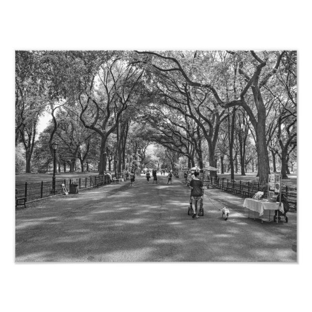 Literary Walk- Central Park, New York Photo Print (Front)