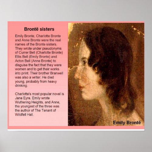 Literature 19th century Bronte sisters Poster