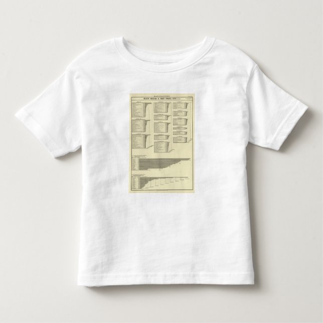 lithographed chart manufactures in cities toddler t-shirt (Front)
