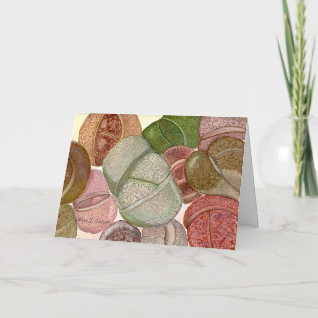 Lithops watercolor card by Debra Lee Baldwin (Front)