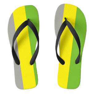 Lithromantic Pride Flip Flops