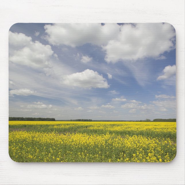 Lithuania, Central Lithuania, Joniskis, field of Mouse Pad (Front)