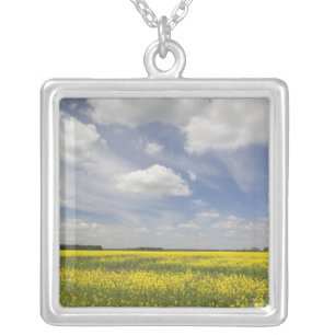 Lithuania, Central Lithuania, Joniskis, field of Silver Plated Necklace