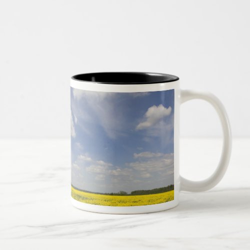 Lithuania Central Lithuania Joniskis field of Two_Tone Coffee Mug