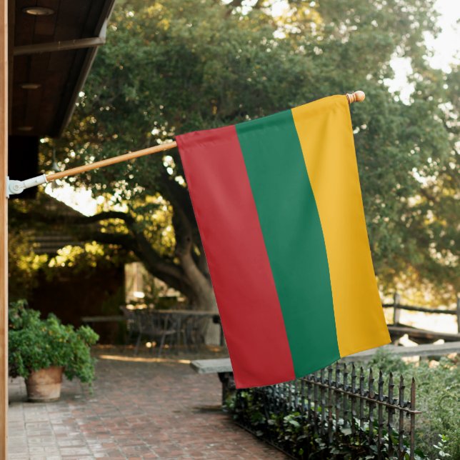 Lithuania flag (In SItu)