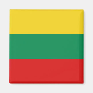 Lithuania Flag Magnet