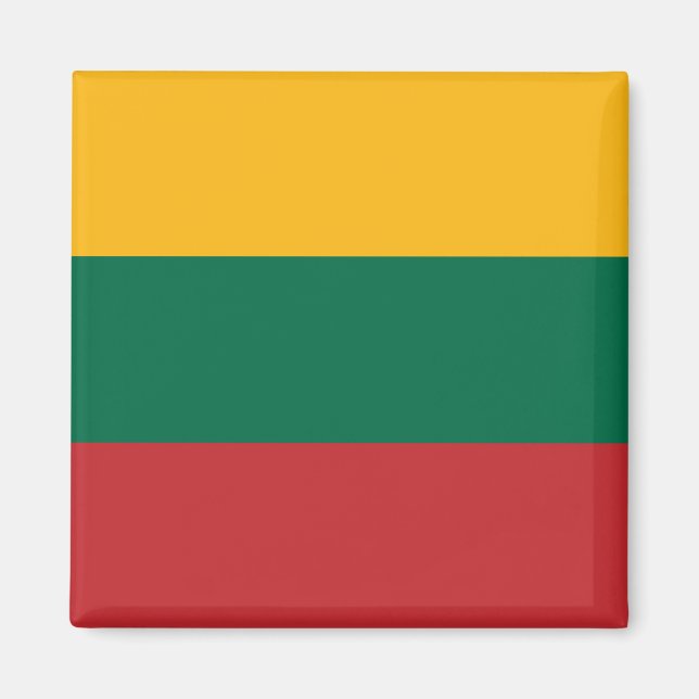 Lithuania Flag Magnet (Front)