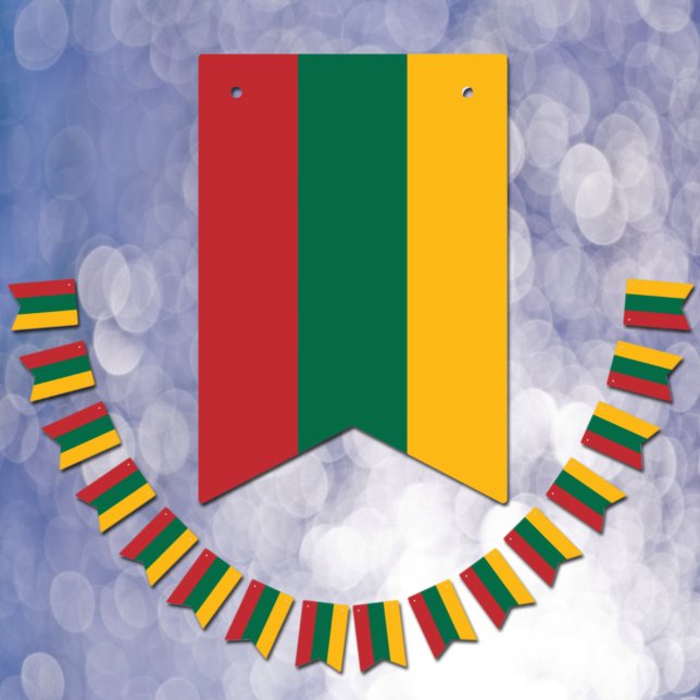 Lithuania Flag & Party Lithuanian Banners /Wedding (Creator Uploaded)