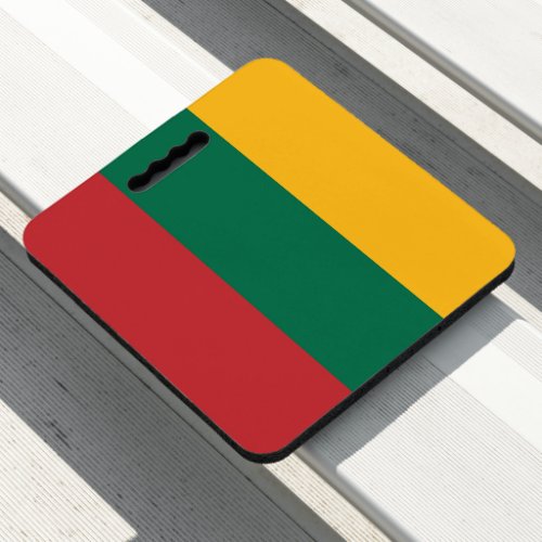 Lithuania flag seat cushion