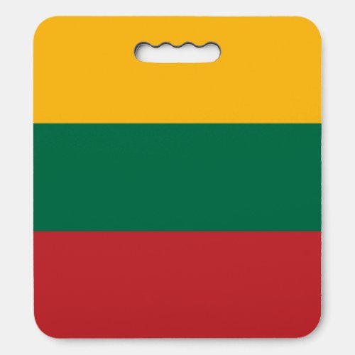 Lithuania Flag Seat Cushion