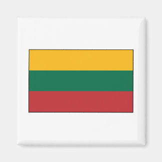 Lithuania  - Lithuanian Flag Magnet