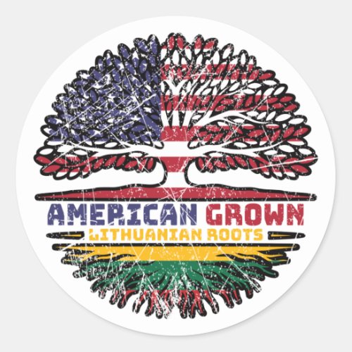 Lithuania Lithuanian US American USA United States Classic Round Sticker