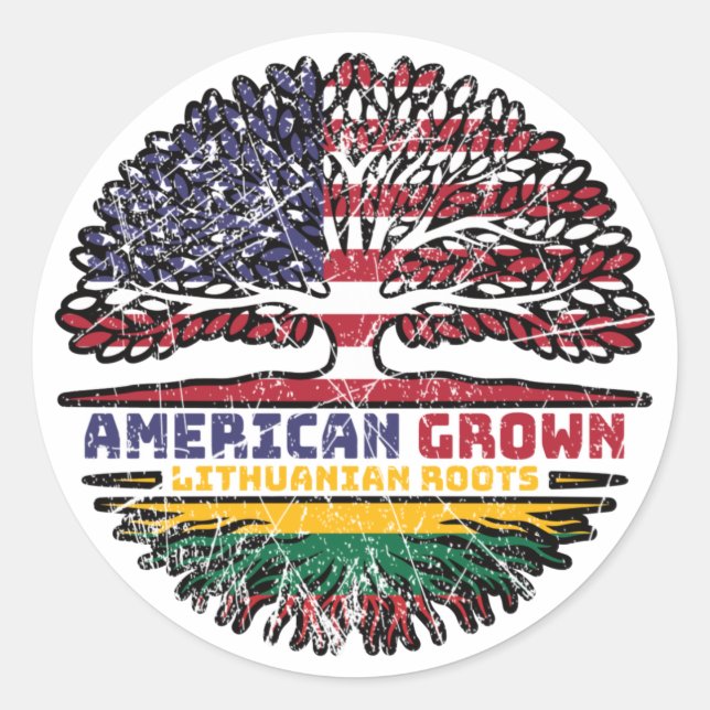 Lithuania Lithuanian US American USA United States Classic Round Sticker (Front)