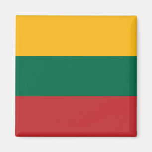 Lithuanian Flag Magnet