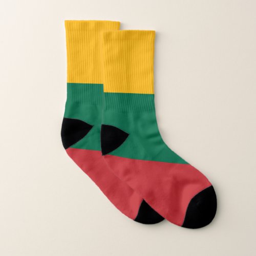 Lithuanian Flag Socks