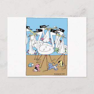 Litter Announcement Postcard