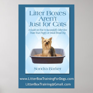 Litter Boxes Arent Just For cats Poster