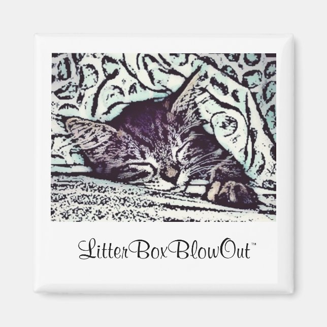 LitterBoxBlowOut Magnet (Front)