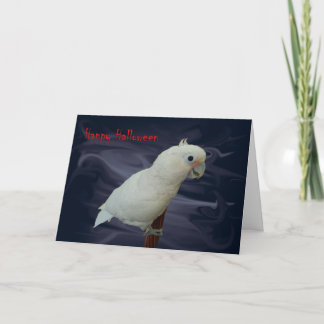 Little Angel Card