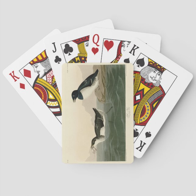 Little Auk (Dovekie) - Audubon's Birds of America Poker Cards (Back)