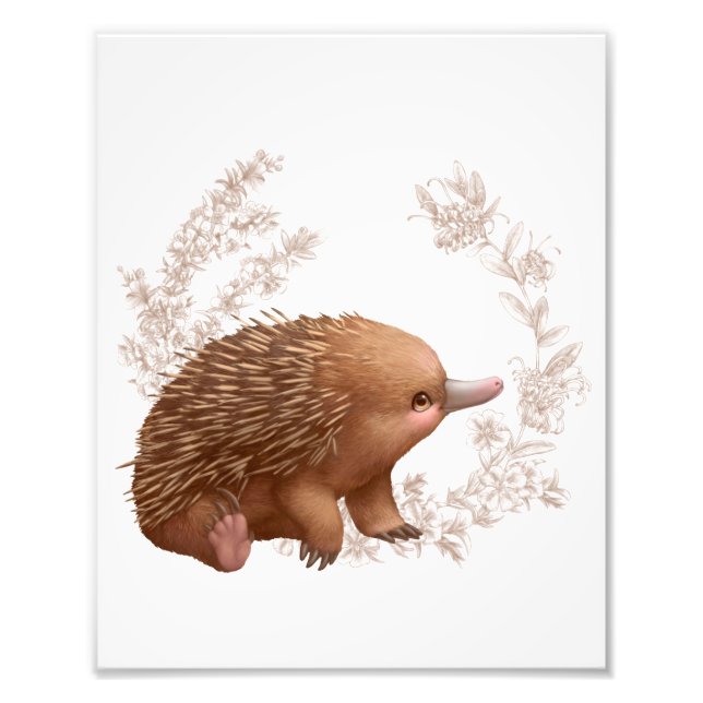 Little Aussie Friends - Echidna Photo Print (Front)