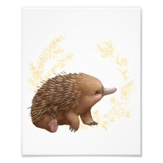 Little Aussie Friends - Echidna Photo Print