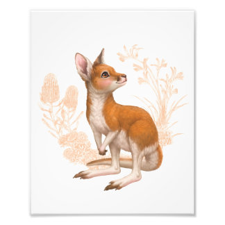 Little Aussie Friends - Kangaroo - Colour Photo Print