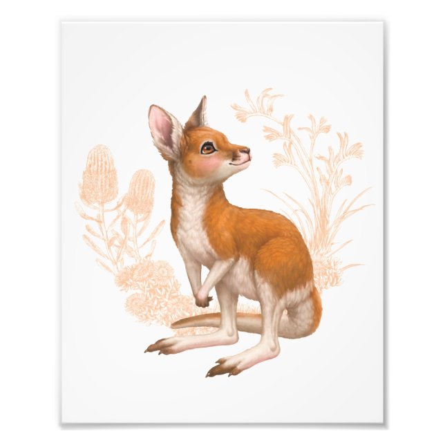 Little Aussie Friends - Kangaroo - Colour Photo Print (Front)