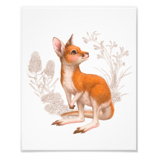 Little Aussie Friends - Kangaroo Photo Print