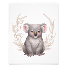 Little Aussie Friends - Koala