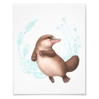 Little Aussie Friends - Platypus Photo Print