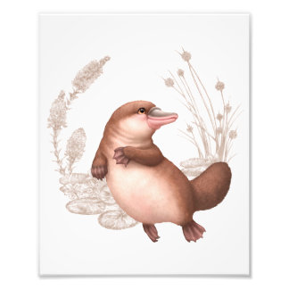 Little Aussie Friends - Platypus Photo Print