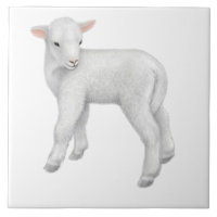 Little Baby Lamb Customizable Tile