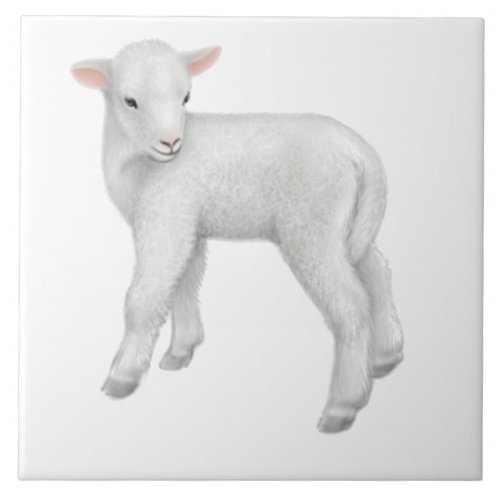 Little Baby Lamb Customizable Tile