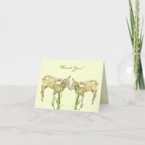Little Baby Lambs on Yellow Thank You Card