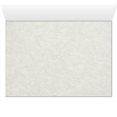 Little Ballerina (Inside Horizontal (Bottom))