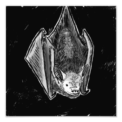 Little Bat Photo Print