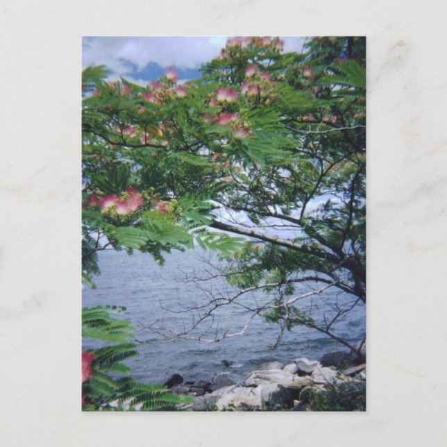 Little Bay Park, Queens, NY Postcard (Front)