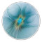 Little Beauty Modern Blue Gold Fractal Art Flower