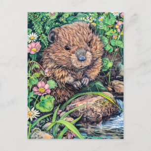 Little Beaver by Creek Bank Postcard