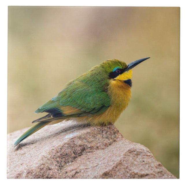 Little Bee-Eater Ceramic Tile (Front)
