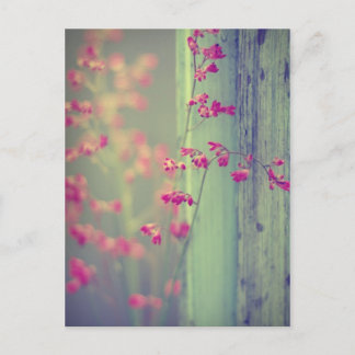 Little Bells Postcard