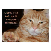 Little Bird (Front Horizontal)