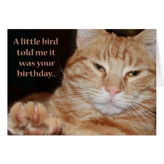 Little Bird Cards (Front Horizontal)