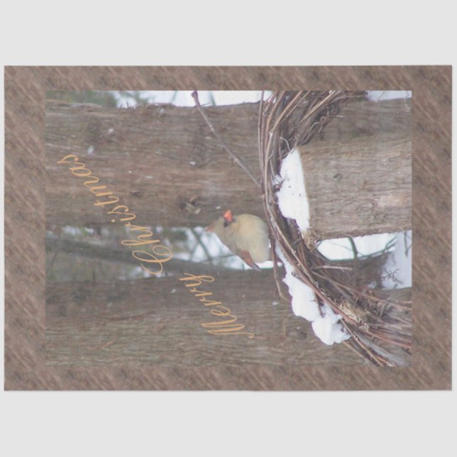 Little Bird Christmas Wishes Tissue Paper (Front)