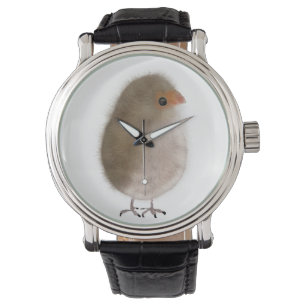 Little bird in a watch! watch