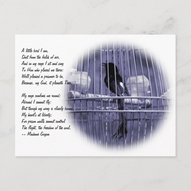 Little Bird in Cage Poem Postcard (Front)