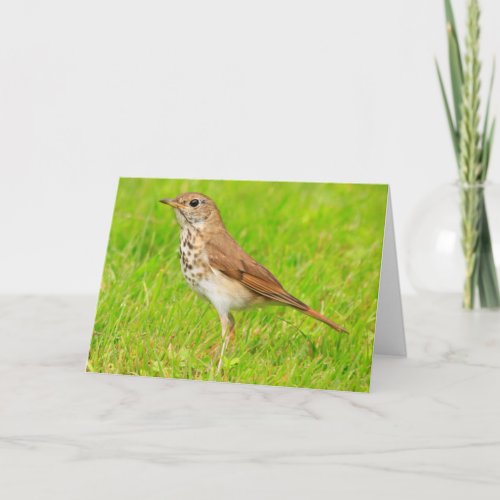 Little Bird Nature Thinking Of You Card